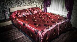 Гостиница Almaz Новокузнецк Двухместный номер Делюкс с 1 кроватью-1